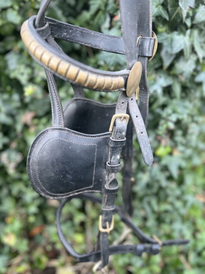 Genuine Blinkers and bridle - Image 2