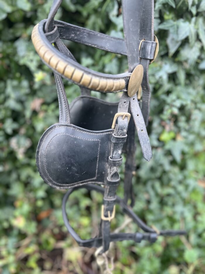 Genuine Blinkers and bridle - Image 6